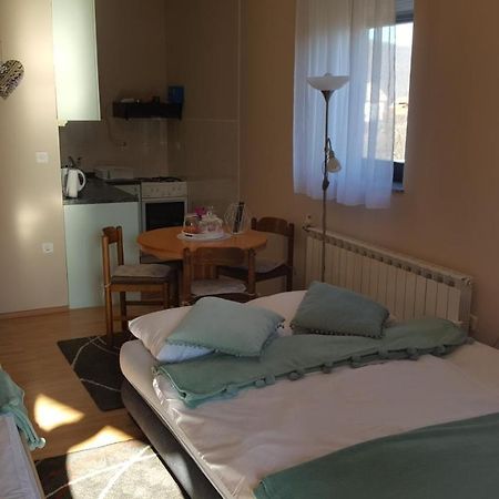 Studio Apartman Salopek Ogulin Buitenkant foto