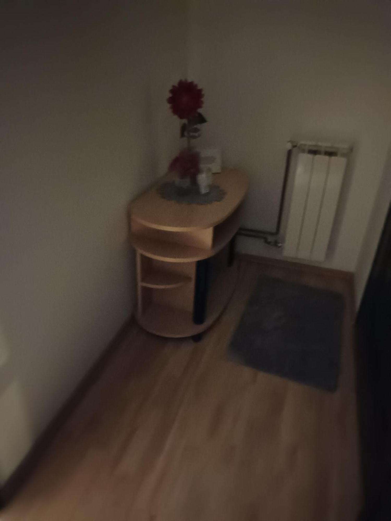 Studio Apartman Salopek Ogulin Buitenkant foto