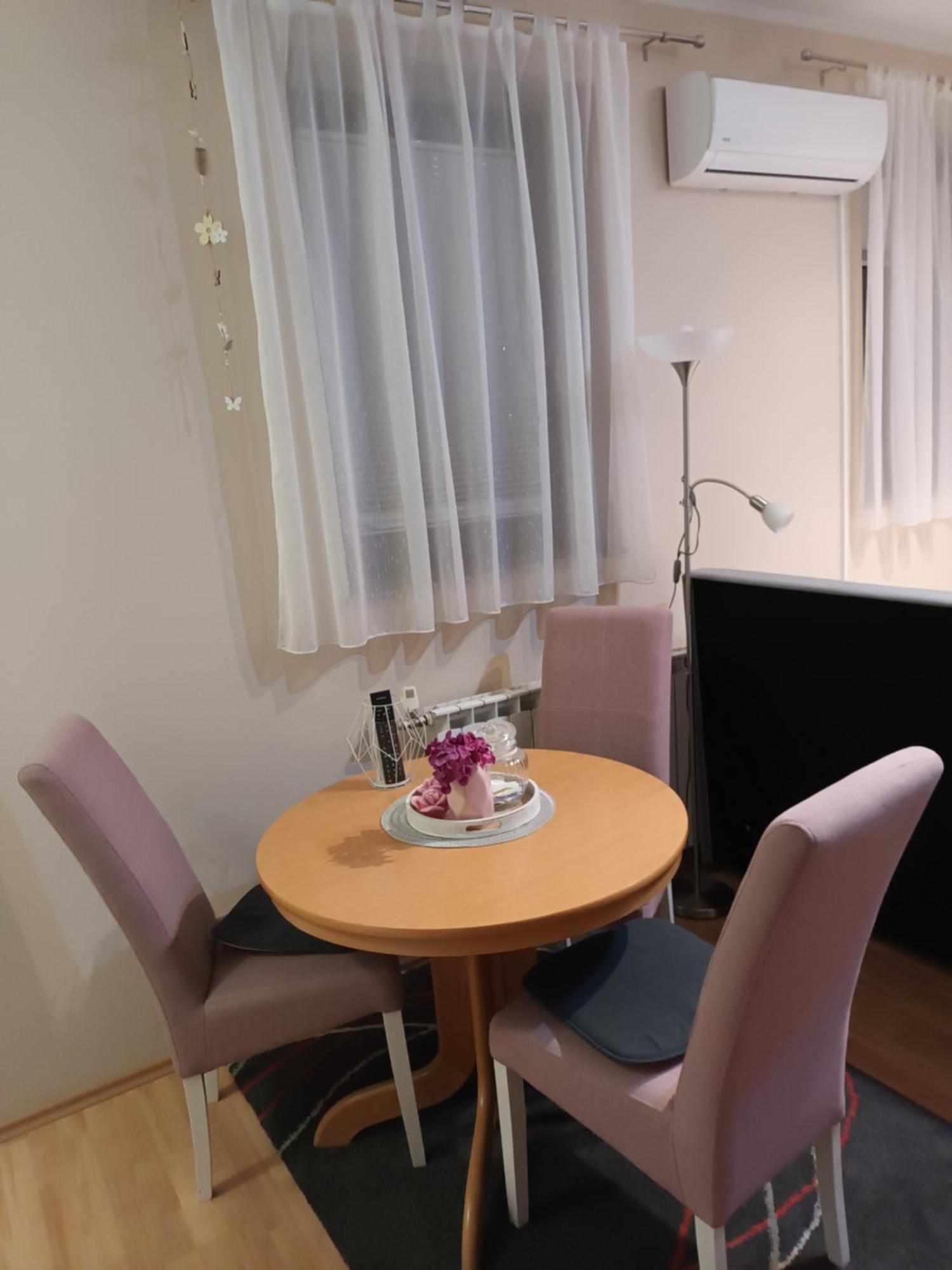 Studio Apartman Salopek Ogulin Buitenkant foto