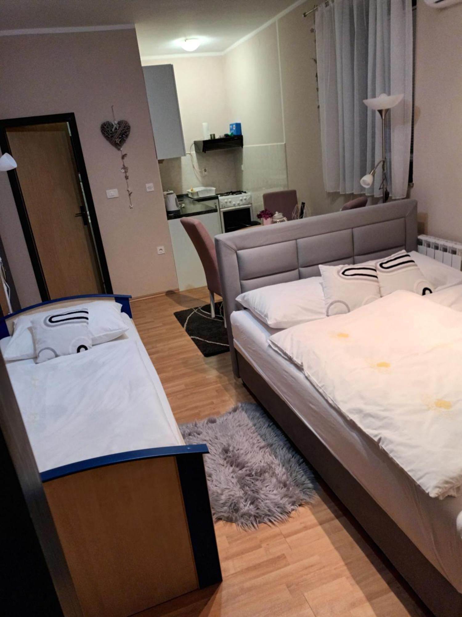 Studio Apartman Salopek Ogulin Buitenkant foto